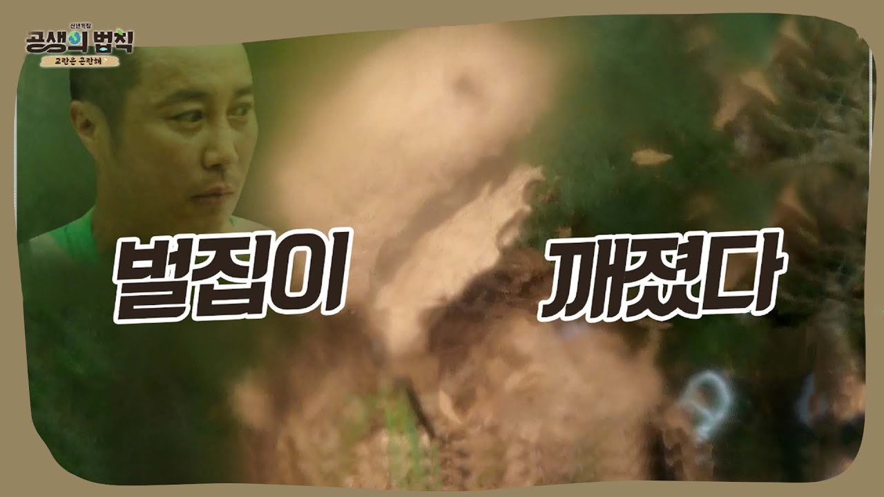 Ким Бёнман уронил сетку от ос, удаляя ее [Закон сосуществования|SBS 220106 Broadcast]