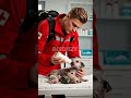 Snow Rescue: Man Saves Mother Puppy & Her 5 Babies #AnimalRescue #shorts  #rescuestory  #SaveAnimals
