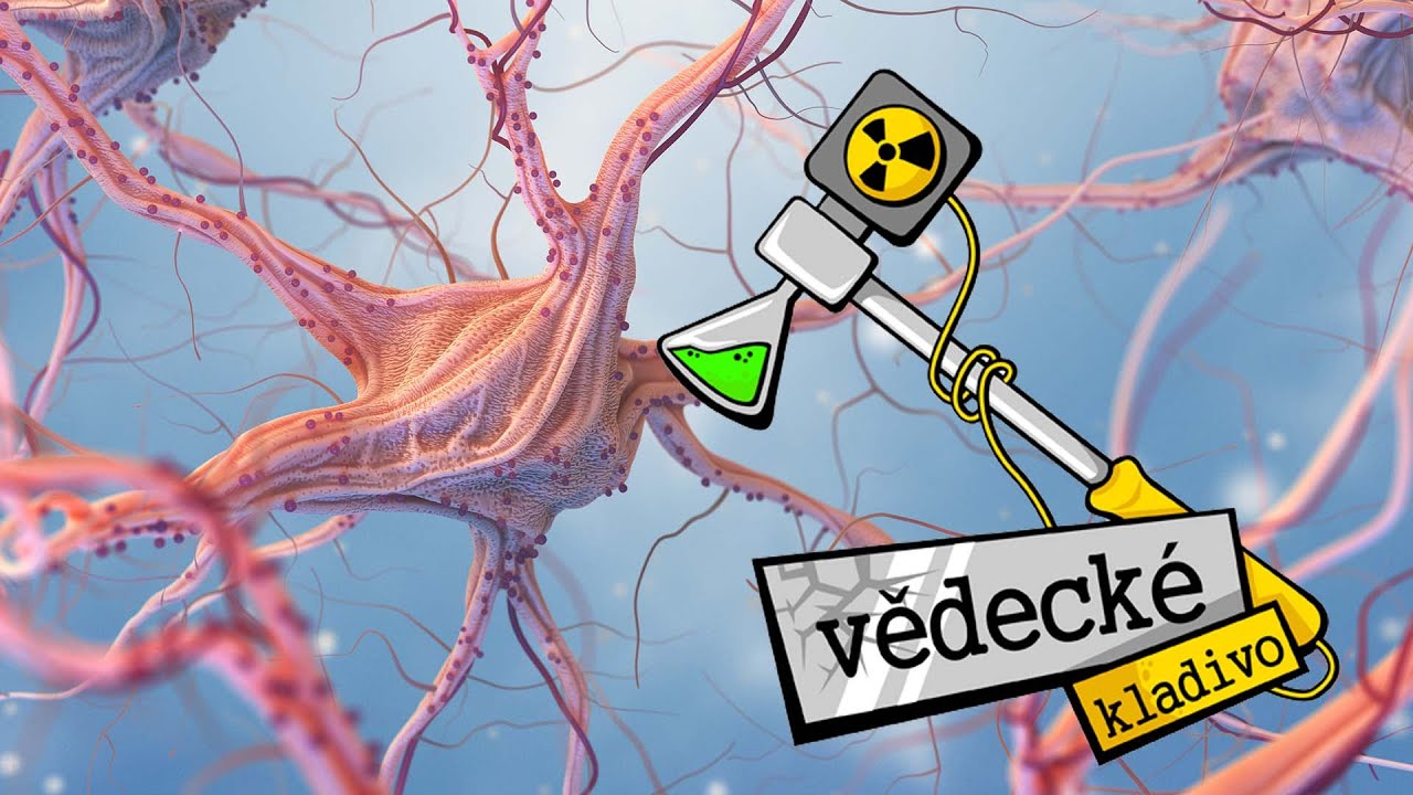 Co je to Epilepsie? - Vědecké kladivo AK 18