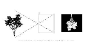 Introduction to Pinhole Photography