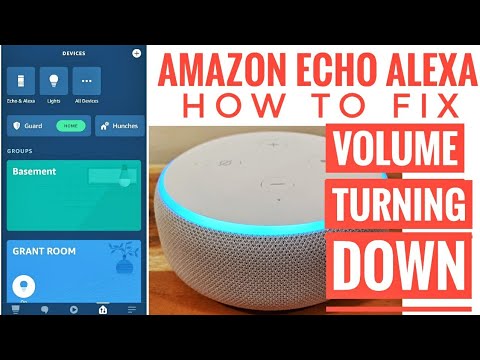 Video: Alexa face jumătăți de volume?