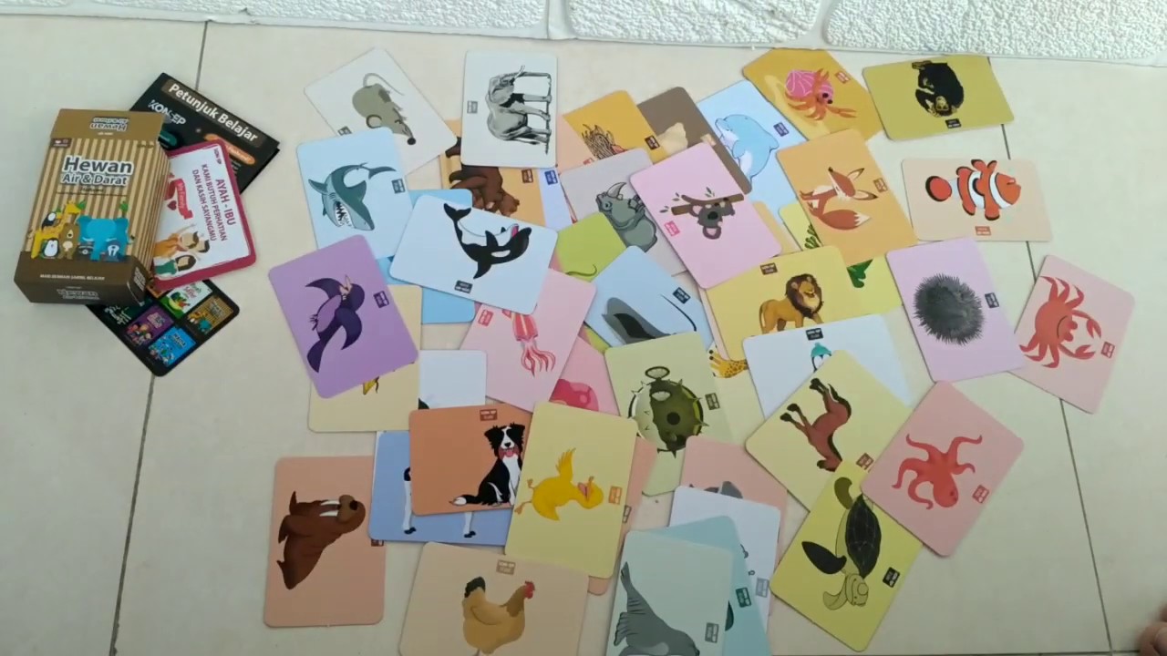 8700 Gambar Hewan Air Dan Darat Gratis