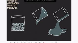 28: Surface tension and viscosity