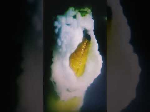 هذا خلق الله فاروني ماذا خلق الذين من دونه