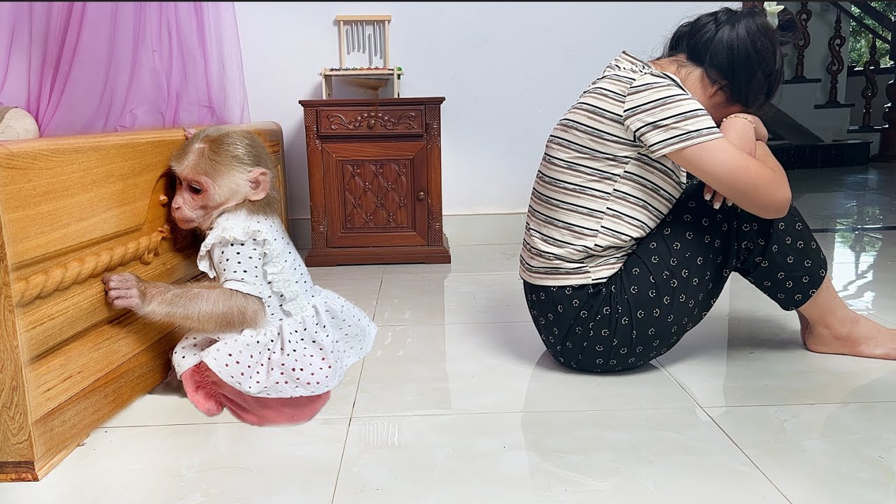 Mom helpless when seeing Luk sad because missed Thang