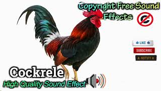 Rell Sound Effect High Quality Sound Ncs Effects Royalty Free