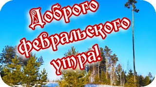 С Добрым Утром! 🌸С Февральским Добрым Утром!🌸 А Скоро Весна...🌸Good Morning!🌸