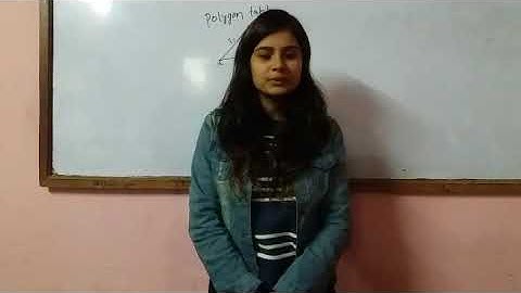 computer graphics (3d object representation)