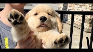 These Cutest Animals Will Melt Your Heart