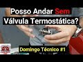 Posso Andar sem Válvula Termostática? Para que Ela Serve? -  Domingo Técnico#1-vídeo nº 272