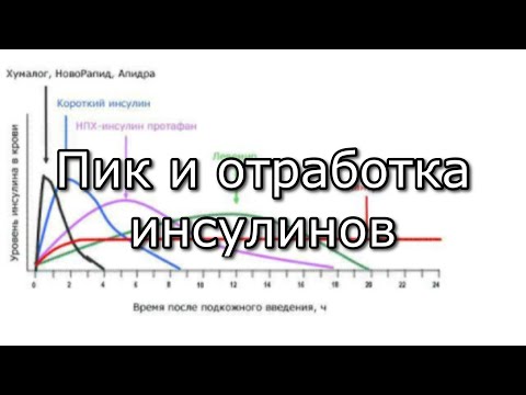 СД1✅Пик и Отработка инсулинов (Новорапид и Актрапид)