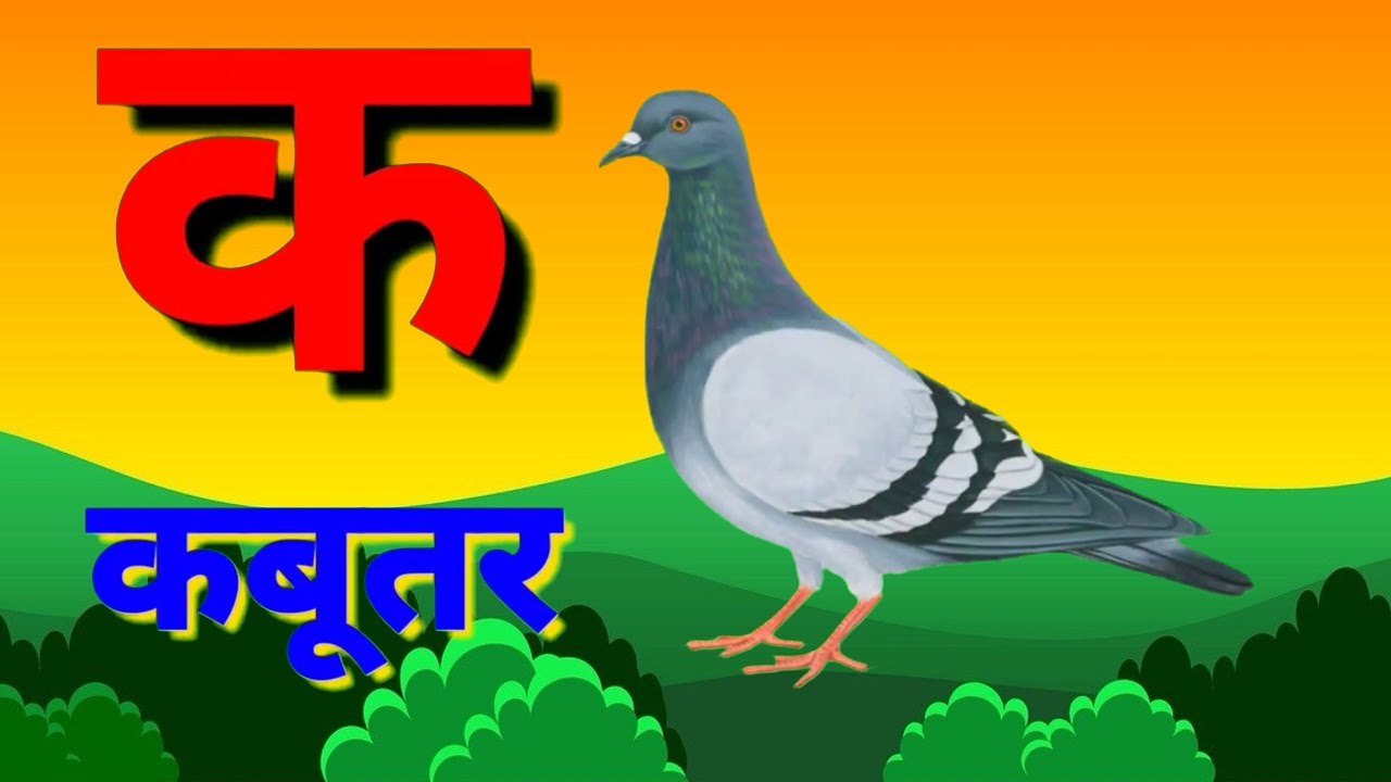 K Se Kabootar A Se Anar Aa Se Aam Hindi Varnmala k Se k-se-kabootar-a-se-anar-aa-se-aam-hindi-varnmala-k-se