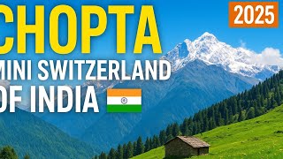 Chopta – India’s Mini Switzerland 🇮🇳 | Complete Travel Guide