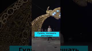Ялта - это Русская Ривьера? Лучший город Крыма! Квартиры, дома и апартаменты в Крыму! Инвестиции
