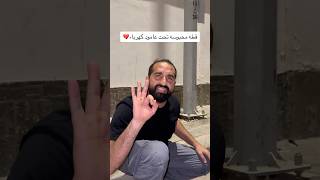 إنقاذ قطه من الموت المحتم
