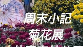 书接上回，11月23日，共青森林公园菊花展，精品展区视频分享。。😁😁😁#共青森林公园 #共青森林公园菊花展 #vlog日常 #赏花季 #菊花展
