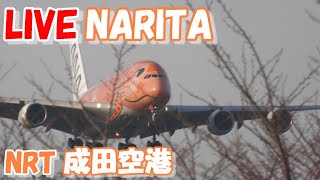 🔴LIVE at NARITA International Airport Plane Spotting　2024.06.03　成田空港ライブカメラ 成田空港　NRT/RJAA