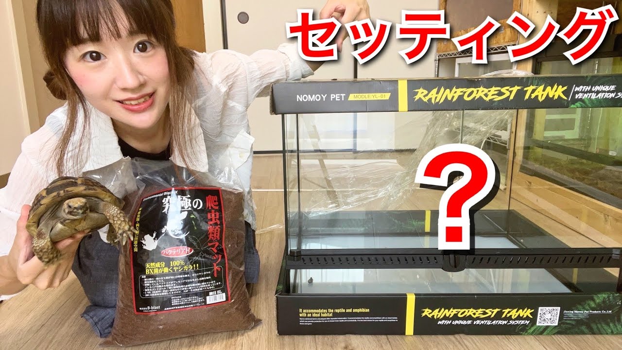 お引越し】新ケージにリクガメの飼育環境をセッティング！ - YouTube