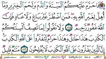 (27) تلاوة بصوت القارئ هزاع البلوشي سورة النحل، الآيات: 115-118