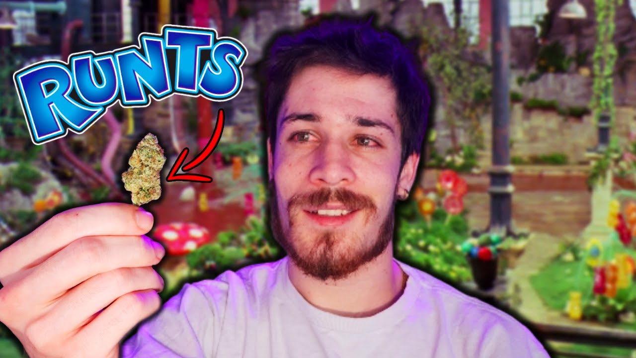 I found the original “runtz” strain