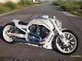 Harley Davidson V Rod VRSCDX muscle