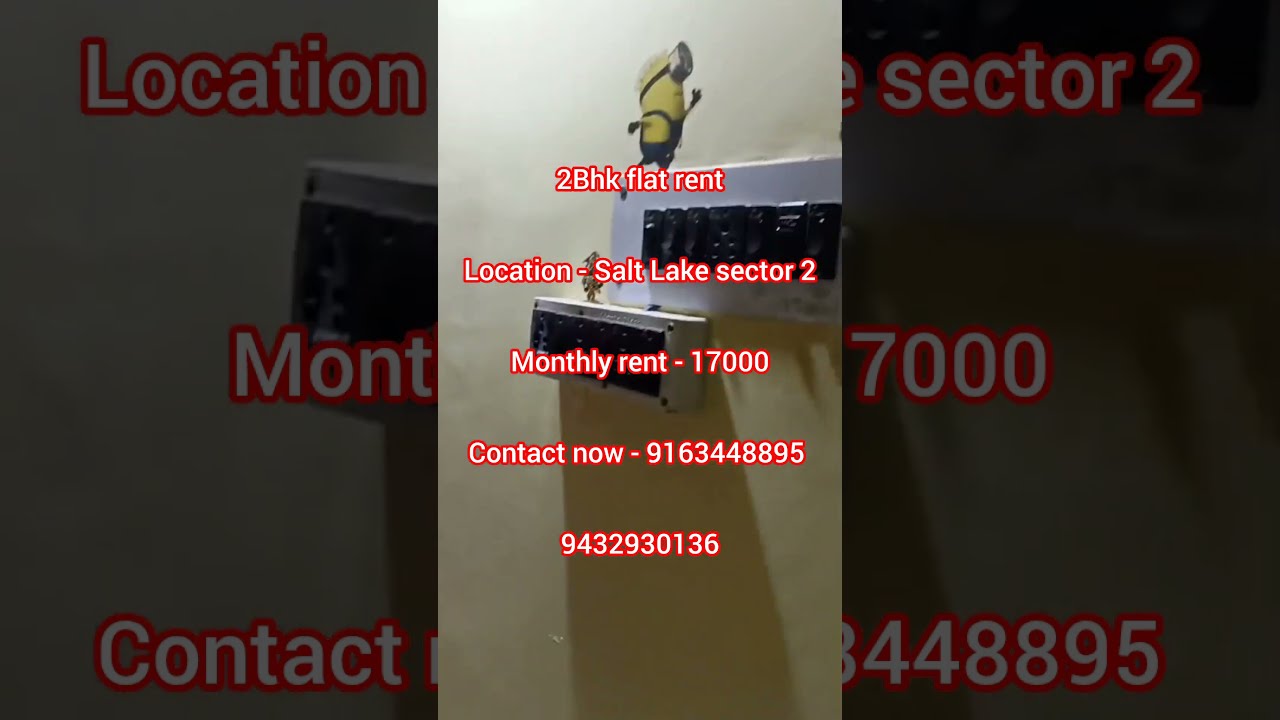 Prime Location 2 BHK Flat Available in Salt Lake Sector 2. 
