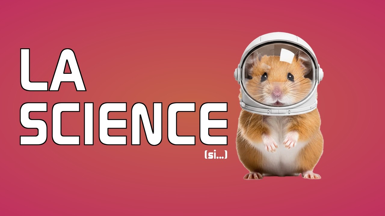 Congeler des hamsters pour aller dans l'espace ? Quoi, encore...