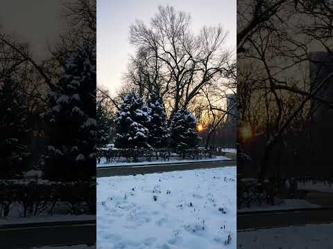 Panfilov Park, Almaty #travel #nature #views #visitalmaty #trip #love #winter #snowylandscape