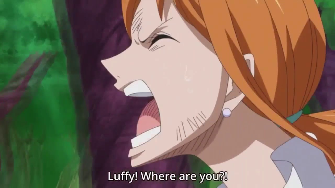 Nami One Piece Fan Service