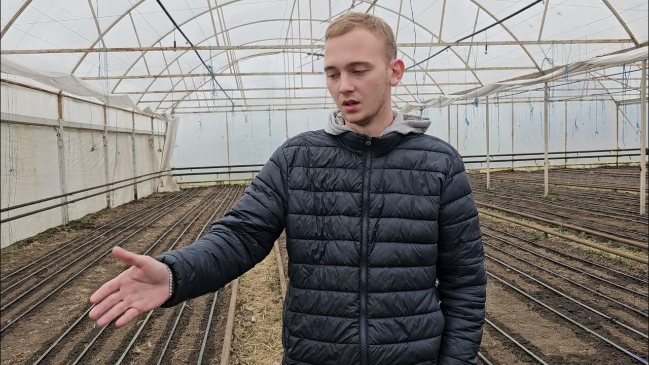 Замачивание семян рукколы сорт позитив препаратами стартэко, стартэко ...
