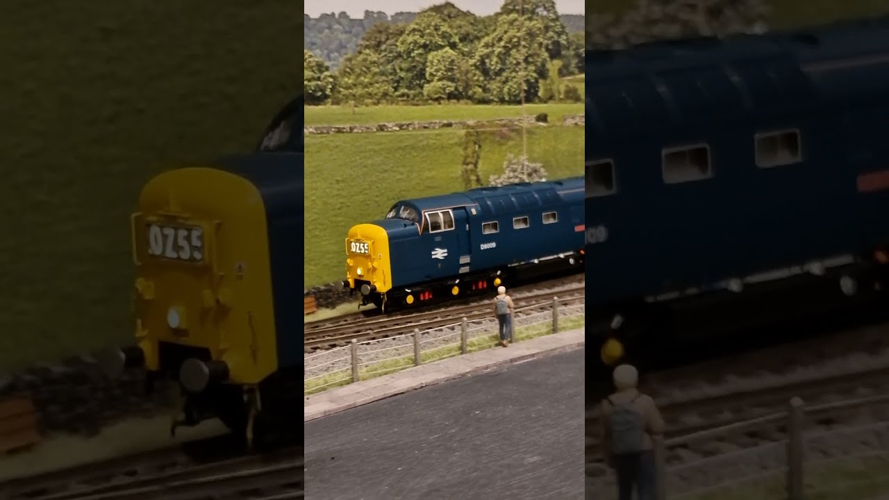 Accurascale Deltic D9009 Alycidon BR EE Type Class 55