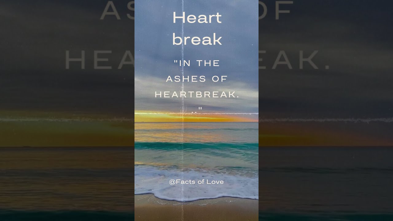 Shattering Myths Unmasking Truths About Love Between Women And Men