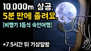 ✈ [사운드 보완] 밤 비행기 1등석에서 딥슬립하세요! 실제 기내 소리와 수면을 돕는 최적의 사운드 with 10,000m 상공에서 비행기 숙면여행 (기상알람 1회 有)