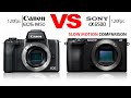 Canon M50 VS SONY A6500 120fps Slow Motion Test / Comparison
