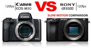 Famous Canon M50 VS SONY A6500 120fps Slow Motion Test / Comparison Wealth