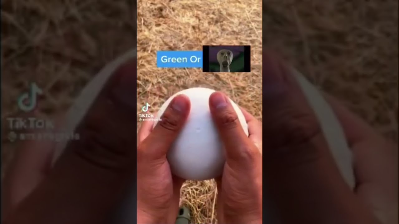 Green Or Yelling Creature Credit To Whoever Made The Content I Used Shorts Memes Goofyahh Haha