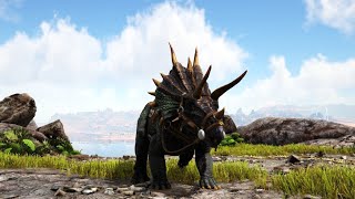 Is a Trike good enough for the hike to Lost Island’s Green Obelisk? | Fjordur Cluster 21