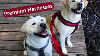 TRIXIE pet supplies- Adjusting dog harnesses for the perfect fit by TRIXIE UK 638 views 3 months ago 3 minutes, 14 seconds