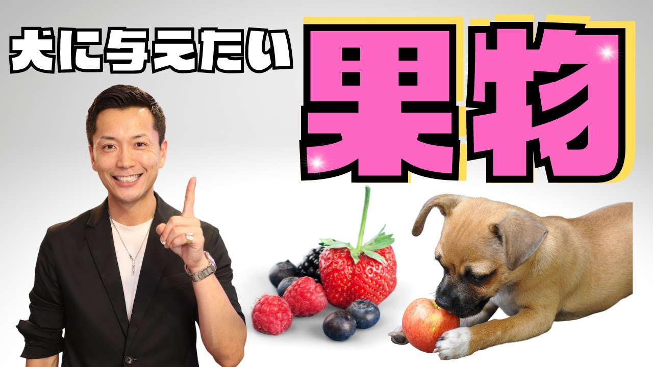 【犬におすすめの果物５選】太りにくい果物を厳選！【低GI】