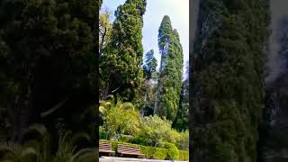 Никитский ботанический сад в Крыму 2023 год. Нежный как музыка