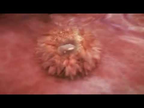 ايات للذريه الصالحه 