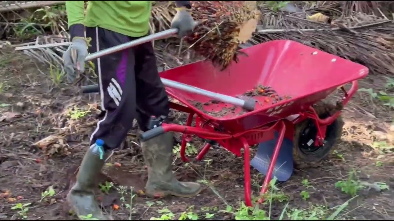 💪 𝐄𝐕𝟏𝐒 𝐄𝐥𝐞𝐜𝐭𝐫𝐢𝐜 𝐖𝐡𝐞𝐞𝐥𝐛𝐚𝐫𝐫𝐨𝐰 𝐢𝐧 𝐀𝐜𝐭𝐢𝐨𝐧 – 𝐌𝐮𝐤𝐨𝐦𝐮𝐤𝐨, 𝐈𝐧𝐝𝐨𝐧𝐞𝐬𝐢𝐚! 🇮🇩⚡