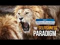 It Is Written - Prequel of the Bible: The Selfishness Paradigm