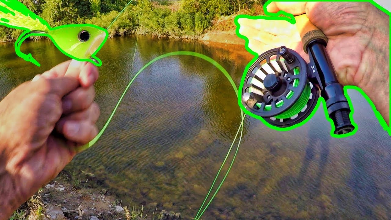 FLY Fishing For The First Time, GREAT Catfish Bait YouTube