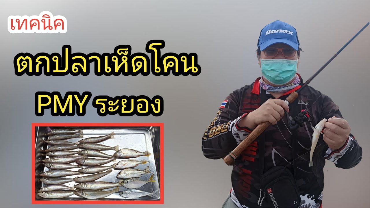 ตกปลา | เทคนิค วิธี ตกปลาเห็ดโคน ตกปลาทราย หาด PMY ระยอง ตกยังไงให้ได้ปลา