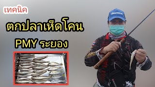 ตกปลา | เทคนิค วิธี ตกปลาเห็ดโคน ตกปลาทราย หาด PMY ระยอง ตกยังไงให้ได้ปลา