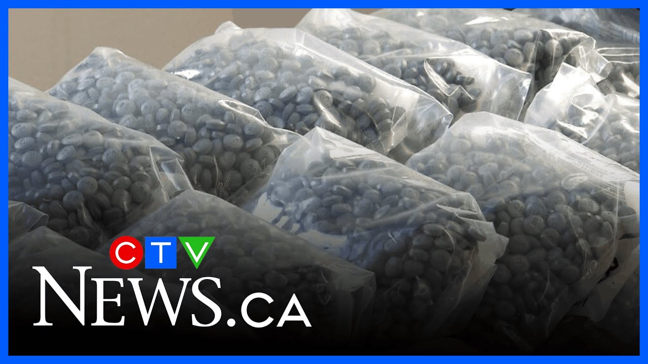 Police seize thousands of kilograms of illicit drugs - YouTube