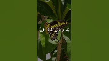 سورة لقمان إسلام صبحي القرآن الكريم #اسلام_صبحي #القرآن