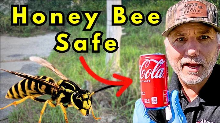 KILL ALL Yellowjackets And Wasps For 1/2 Mile. Safe For Honey Bees!