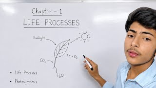 Life Processes Class 10 Science Chapter 1 | Part 1 One Shot 🔥